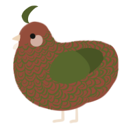 A russet and olive chicken with a double-lace pattern