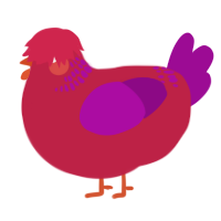 A crimson and plum chicken with a neck-band pattern