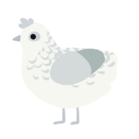 A white and silver chicken with a half-lace pattern