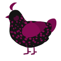 A black and wine chicken with a speckle pattern