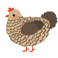 A beige and bark chicken with a lace pattern