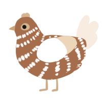 A brown and cream chicken with a bar pattern