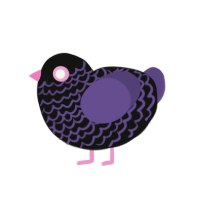 Kinetic, a black and overcast chicken with a lace pattern