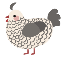 A cream and grey chicken with a lace pattern
