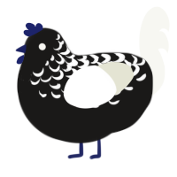 A sable and white chicken with a half-lace pattern