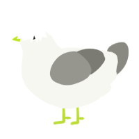 A white and ash chicken