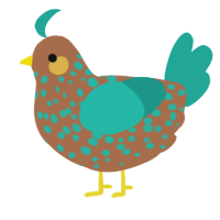 A brown and turquoise chicken with a speckle pattern