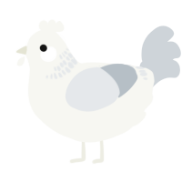 A white and mist chicken with a neck-band pattern