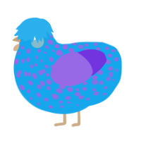 A sky and blurple chicken with a speckle pattern