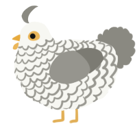A white and ash chicken with a lace pattern