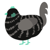 A black and grey chicken with a bar pattern