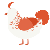A white and vermilion chicken with a half-lace pattern