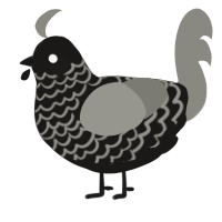 A sable and ash chicken with a lace pattern
