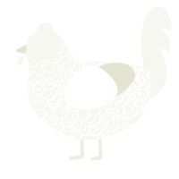 A white chicken with a double-lace pattern