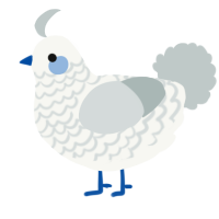A white and silver chicken with a lace pattern