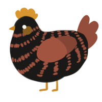 A sable and russet chicken with a bar pattern