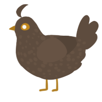 A bark chicken with a speckle pattern