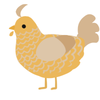 A honey and beige chicken with a lace pattern