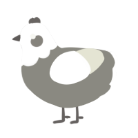 A ash and white chicken with a head pattern