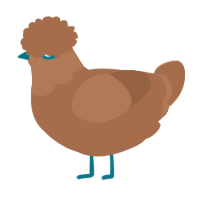 A brown chicken with a head pattern