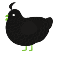 A black and sable chicken with a lace pattern