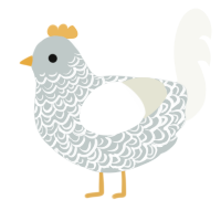 A silver and white chicken with a double-lace pattern