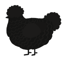A black and sable chicken with a lace pattern