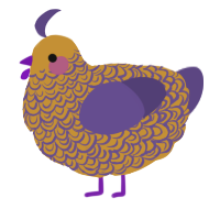 Sweetie, a gold and overcast chicken with a double-lace pattern