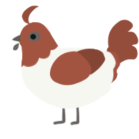 A white and russet chicken with a head pattern