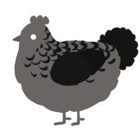 A grey and black chicken with a half-lace pattern