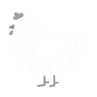 Ob-La-Di Ob-La-Da, a white chicken with a bar pattern