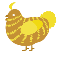 A gold and yellow chicken with a bar pattern