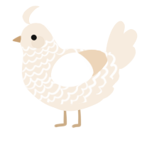 A cream chicken with a lace pattern