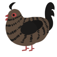 A bark and sable chicken with a bar pattern