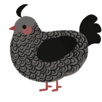 A grey and black chicken with a double-lace pattern