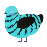 Blue Raspberry, a aqua and black chicken with a bar pattern