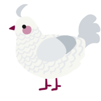 A white and mist chicken with a lace pattern