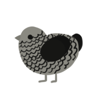 cottonball AIWMNPO, a ash and black chicken with a lace pattern