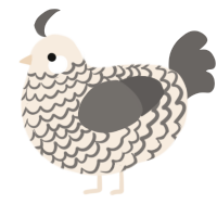 A cream and grey chicken with a lace pattern