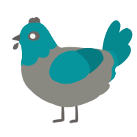 A ash and teal chicken with a head pattern