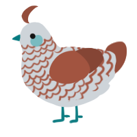 A mist and russet chicken with a lace pattern