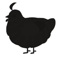 A sable chicken with a bar pattern