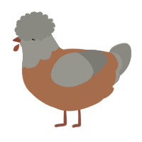 A brown and ash chicken with a head pattern
