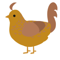 A ochre and brown chicken with a half-lace pattern