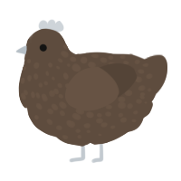 A bark chicken with a speckle pattern