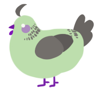 A gluppy and grey chicken with a neck-band pattern