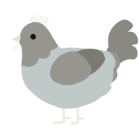 A silver and ash chicken with a head pattern