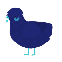 A navy chicken with a bar pattern