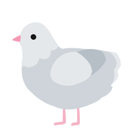 Pidge, a mist chicken with a head pattern