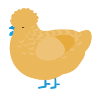 A honey chicken with a half-lace pattern